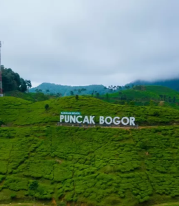 Puncak Pass , Bogor